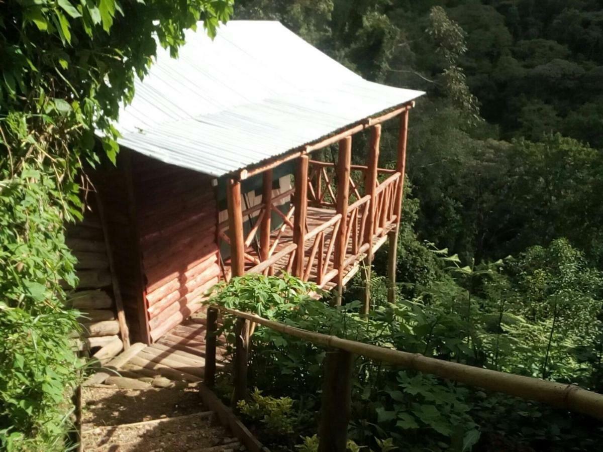 Ruhija Community Rest Camp Bed & Breakfast Kabale Exterior foto